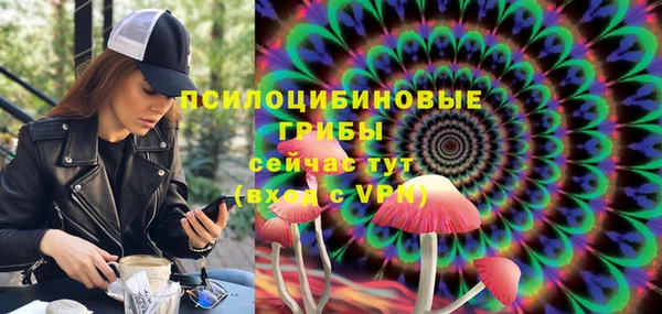 прущие крисы Алзамай