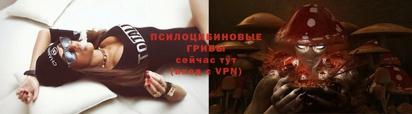 мяу мяу мука Аркадак
